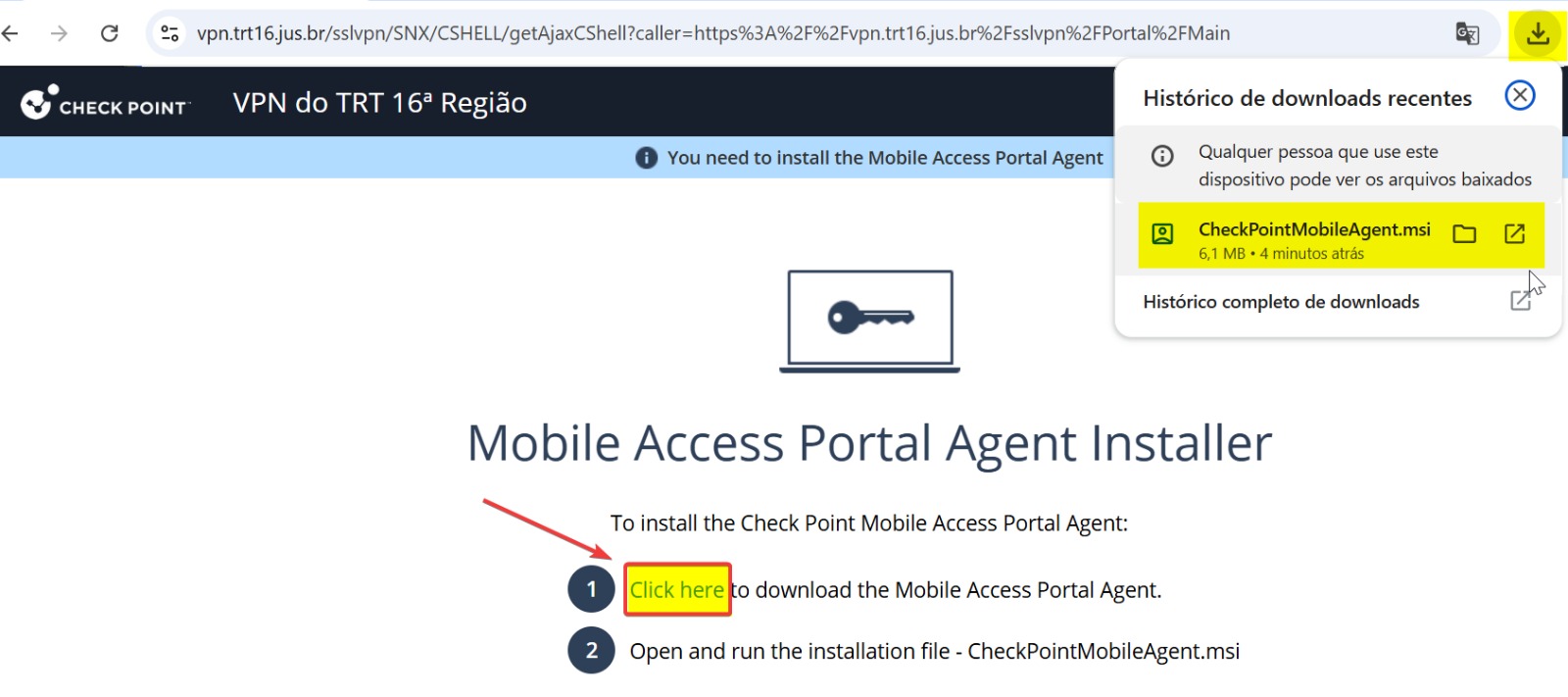 Tela do instalador da VPN