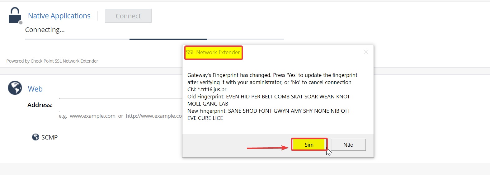 Clique no botão SIM