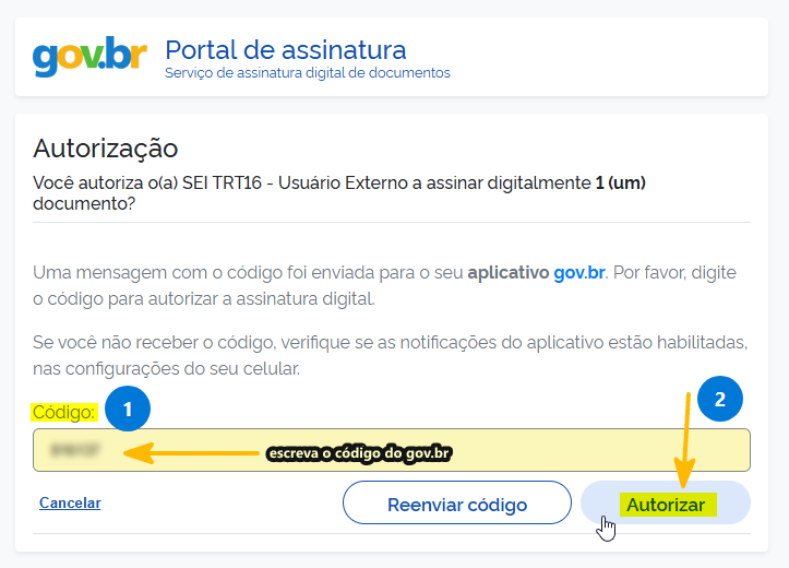 Digite o código no campo código e depois aberte o botão Autorizar.