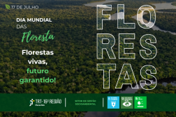Arte apresenta imagem de uma floresta. Destaque: 17 de Julho. Dia Mundial das Florestas. E a logomarca do TRT16