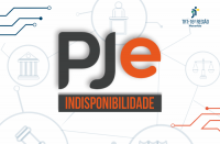 Arte com fundo branco e em destaque a sigla PJE INDISPONIBILIDADE