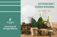 Foto de uma mesa de madeira, onde se veem uma lâmpada, um jarro de vidro, serragem, moedas e folhas. Na lateral esquerda, tarja verde com a logomarca do TRT-16 e o texto ECONOMIA DE ENERGIA ELÉTRICA, ambos brancos. No canto superior direito, o texto verde SUSTENTABILIDADE E EFICIÊNCIA OPERACIONAL.