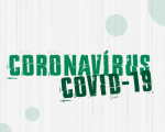 Texto Coronavírus Covid-19 em tons de verde sobre fundo claro.