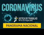 Imagem em fundo preto com o cabeçalho coronavírus e titulo panorama nacional