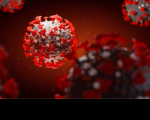 Imagem computadorizada do coronavírus.