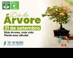 Arte com a mensagem: Dia da Árvore - 21 de setembro: mais árvores, mais vida: plante essa atitude! Na parte superior: ícones com imagens dos objetivos da agenda 2030 da ONU. Uma mão, segura uma muda de planta. Na parte inferior, as logos do TRT-16 Gestão Sustentável. 