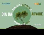 Arte feita no tom verde. Ao centro a informação: 21 de setembro Dia da Árvore. Na parte superior a logomarca do TRT-16.